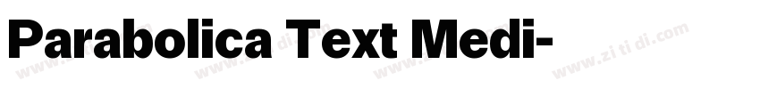 Parabolica Text Medi字体转换 Parabolica Text Medi字体转换